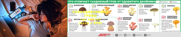 наркотики Алзамай