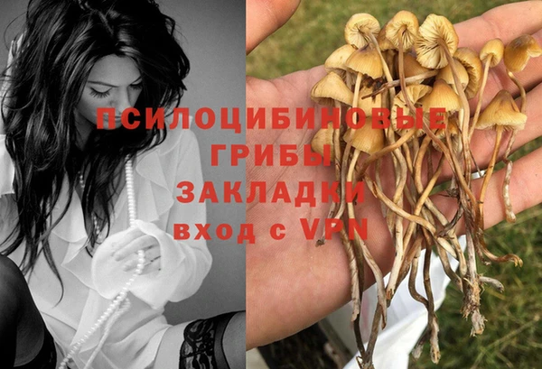 ALPHA PVP Алексеевка