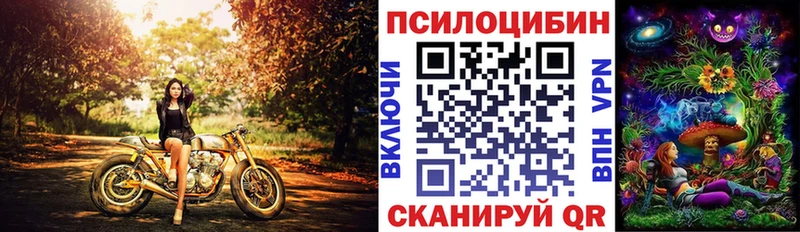 маркетплейс официальный сайт  Ленинск  Псилоцибиновые грибы GOLDEN TEACHER 
